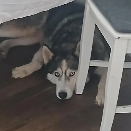 Privatgaestezimmer Familie Froehlich * Leibnitz