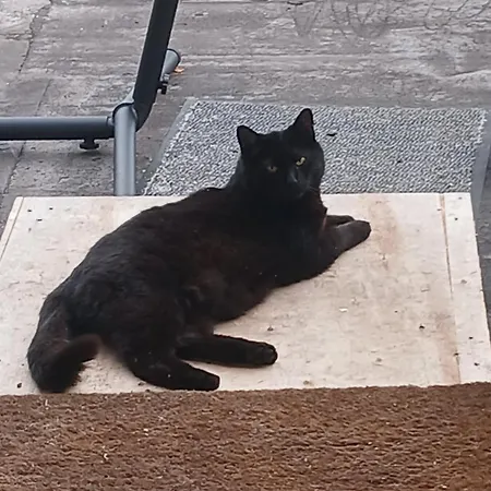 Alloggio in famiglia Privatgaestezimmer Familie Froehlich