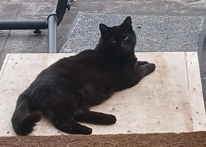 Accommodatie bij particulieren Privatgaestezimmer Familie Froehlich